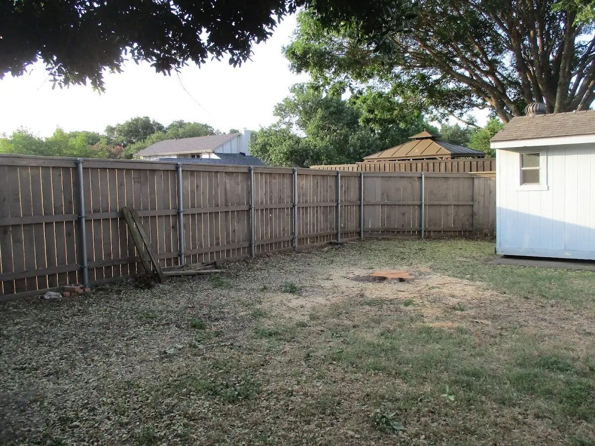 Cleared yard after professional tree removal in Middleport